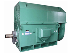 岱山Y系列6KV高压电机